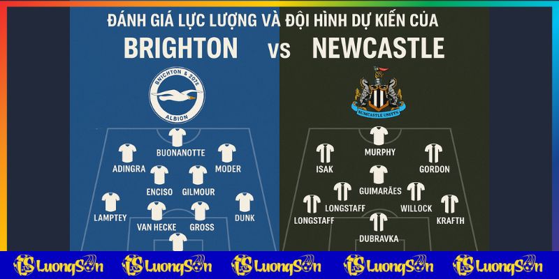 Đáng giá chung Brighton vs Newcastle